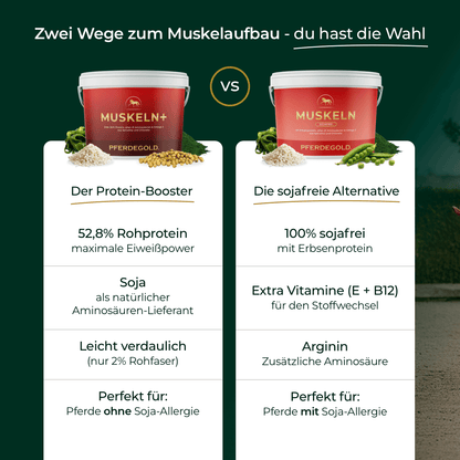 Muskeln+