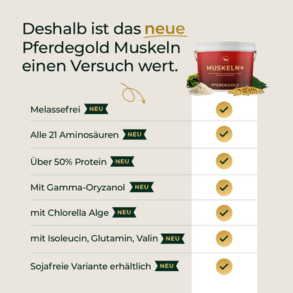 Muskeln+