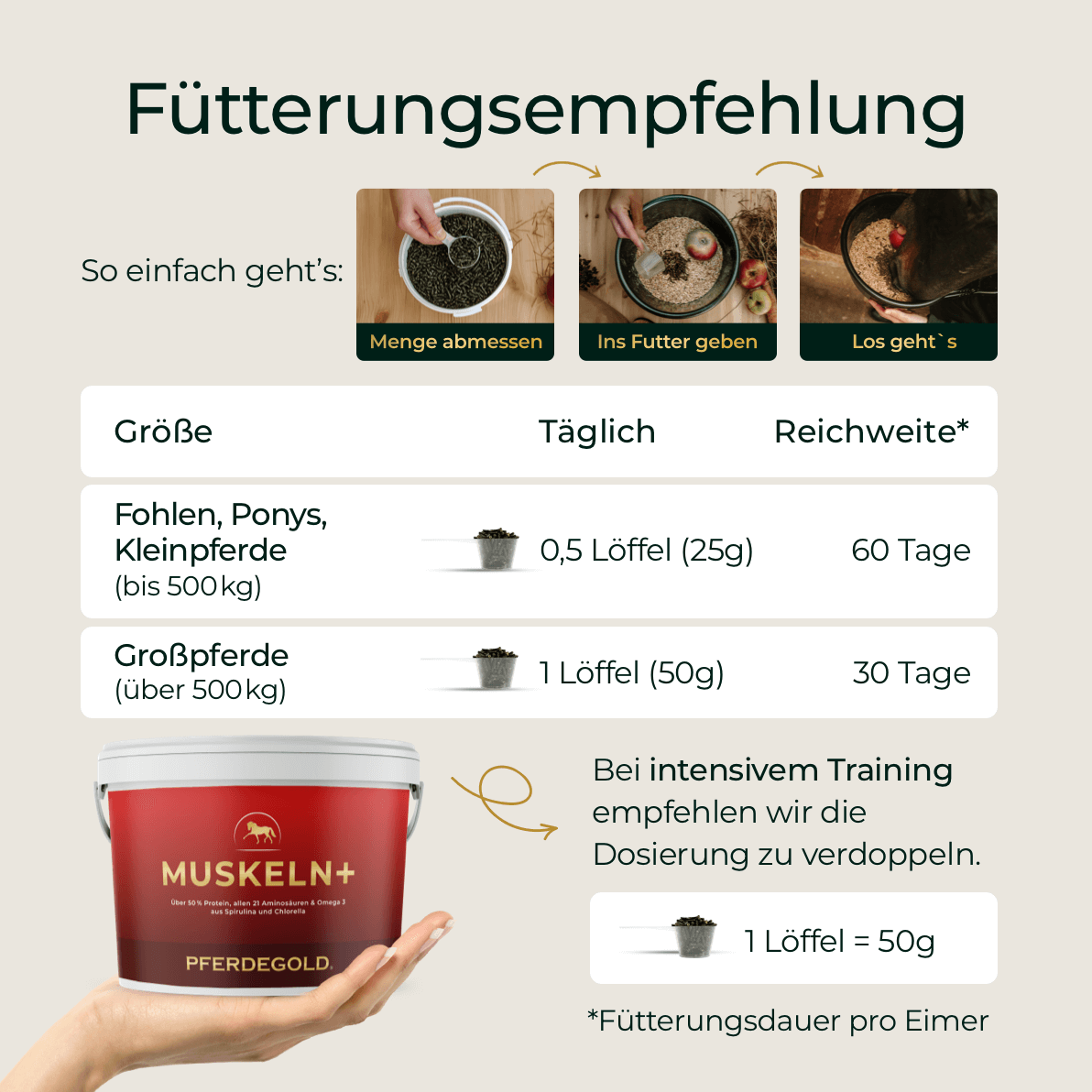 Muskeln+