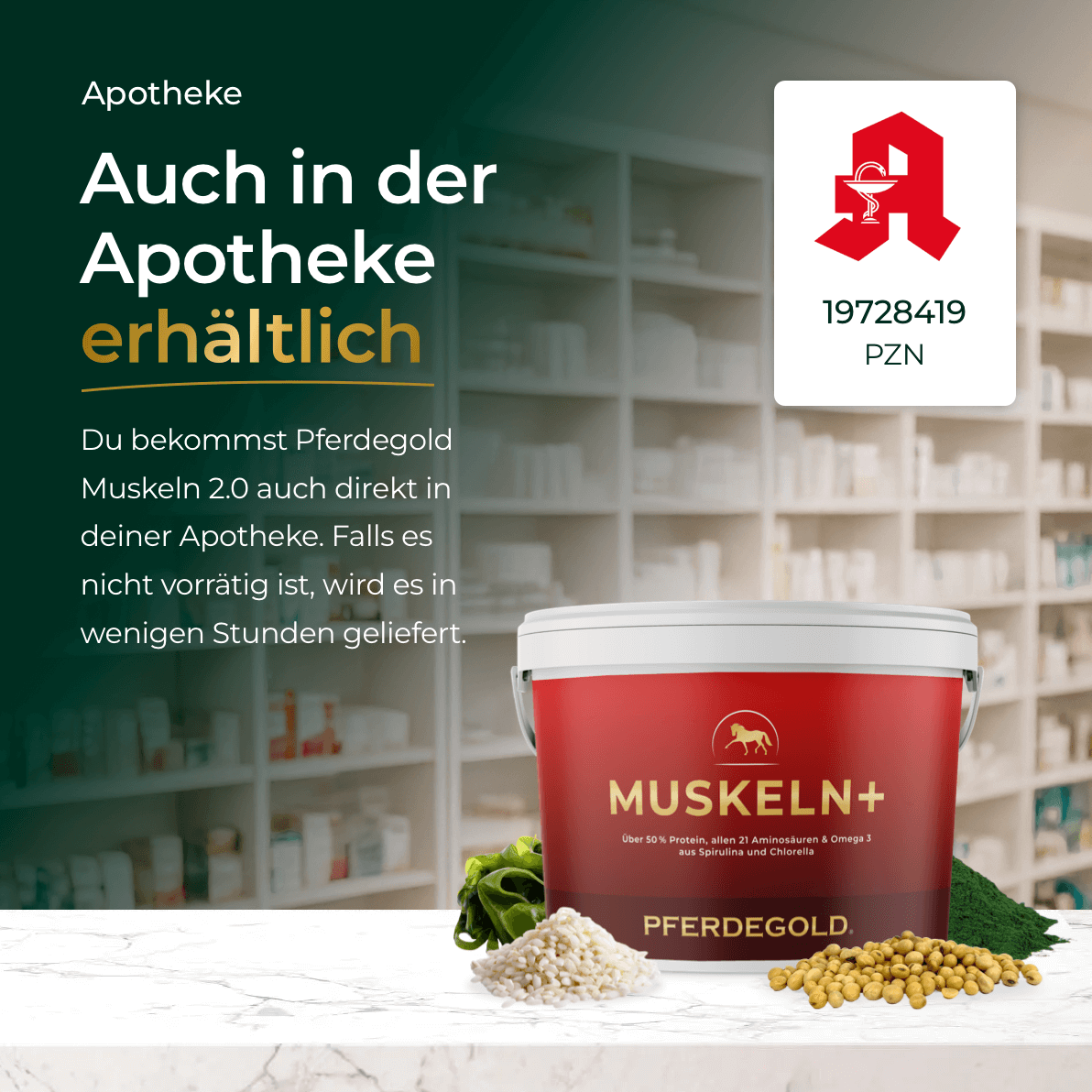 Muskeln+