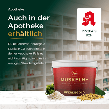 Muskeln+