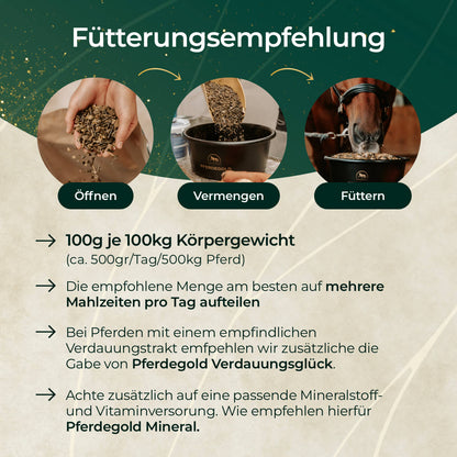 Goldmüsli® Sport Plus