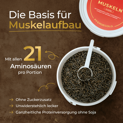 Muskeln Sojafrei