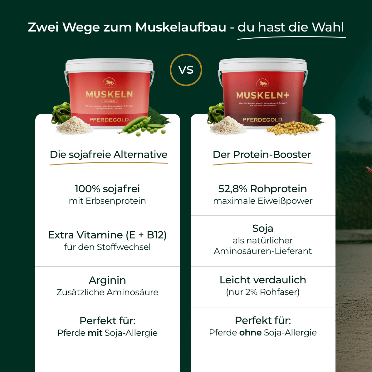 Muskeln Sojafrei