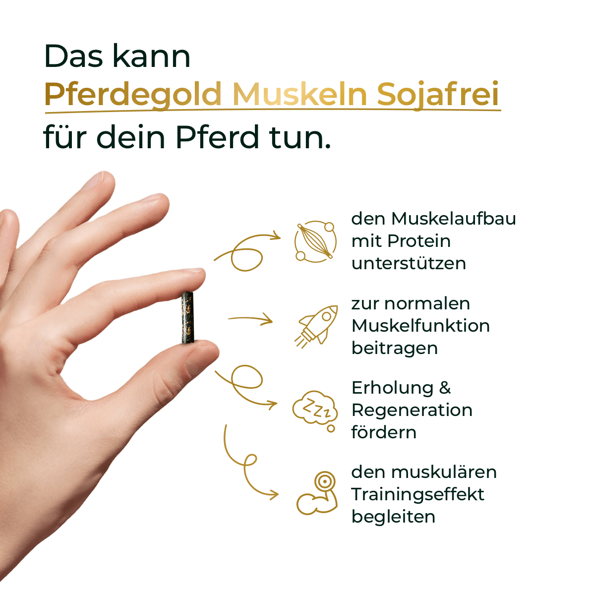 Muskeln Sojafrei