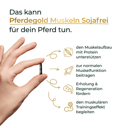 Muskeln Sojafrei