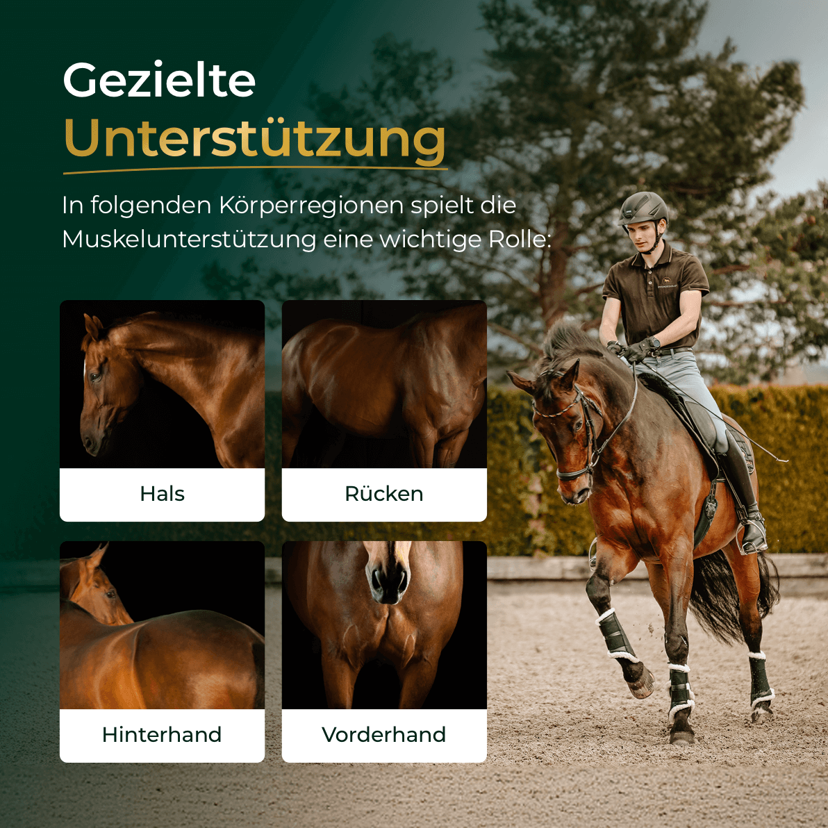 Muskeln Sojafrei