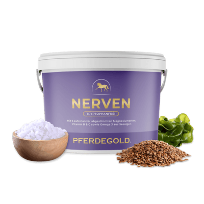 Nerven