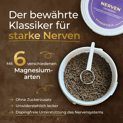 Nerven