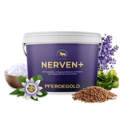 Nerven+ mit Tryptophan