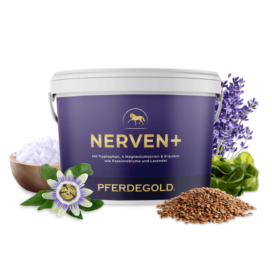 Nerven+ mit Tryptophan