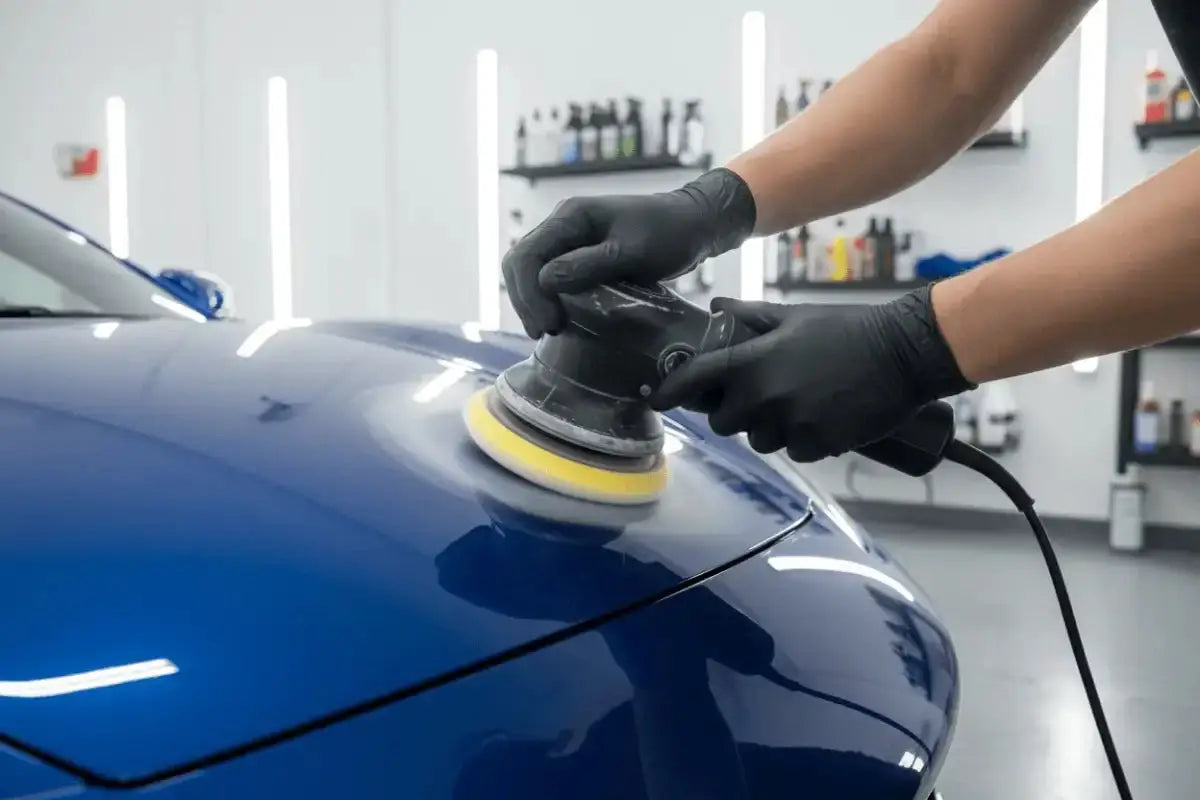 Select black 300 latexeinmalhandschuhe in schwarz für hygienische arbeitsbereiche beim auto polieren kaufen