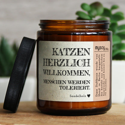 katzen herzlich willkommen, menschen…