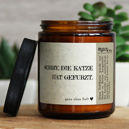 sorry, die katze hat…