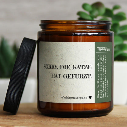 sorry, die katze hat…
