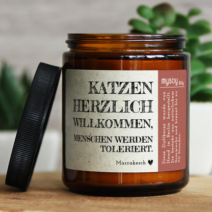 katzen herzlich willkommen, menschen…