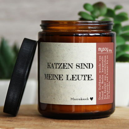 katzen sind meine leute.
