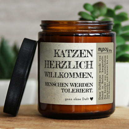 katzen herzlich willkommen, menschen…