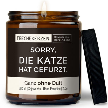 Freche Kerze | sorry, die katze hat gefurzt.