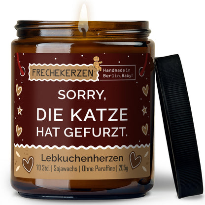 Freche Kerze | sorry, die katze hat gefurzt.