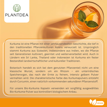 Bio Kurkuma Kapseln